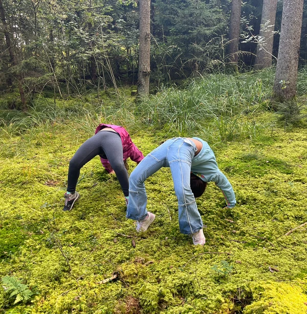 6223e084-2077-4981-8288-08a0487adbb1