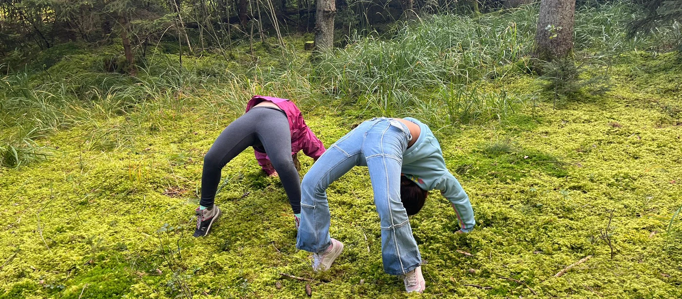 6223e084-2077-4981-8288-08a0487adbb1