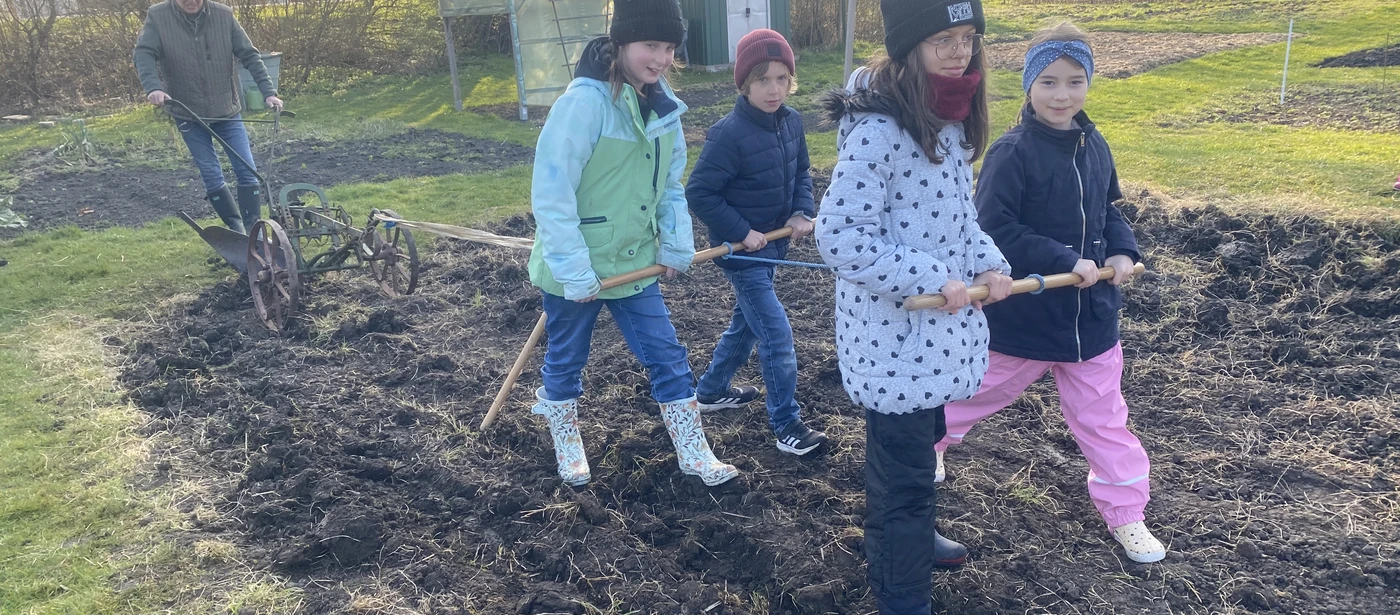 Schülerinnen und Schüler arbeiten im Schulgarten