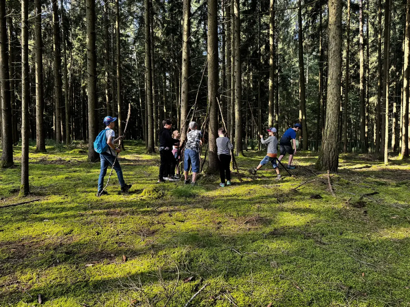 Kinder spielen zwischen hohen Bäumen auf einer moosigen Waldlichtung